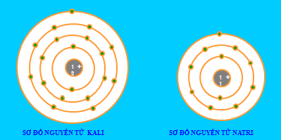 Sơ đồ nguyên tử Kali và Natri