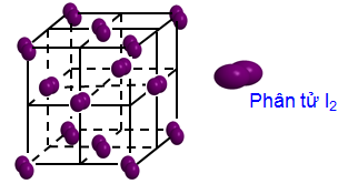 Cấu trúc phân tử Iod