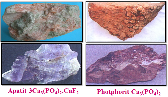 Hai khoáng vật chính của photpho