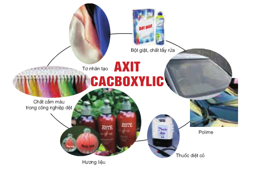 ứng dụng cacboxylic