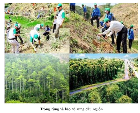 Biện pháp bảo vệ hệ sinh thái rừng
