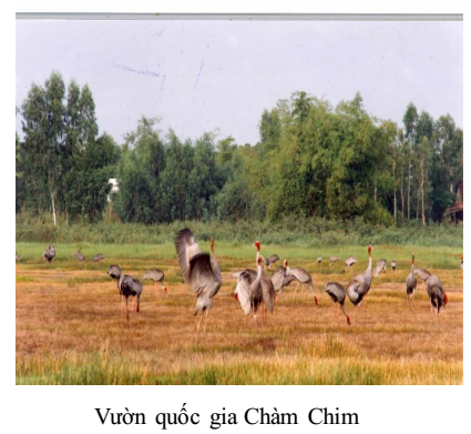 Vườn quốc gia Chàm chim