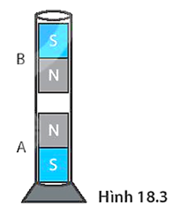 Quan sát hai thanh nam châm đặt trong ống thủy tinh ở Hình 18.3