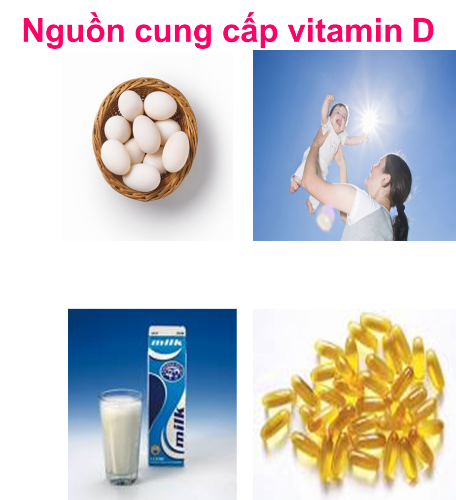 Nguồn cung cấp vitamin D