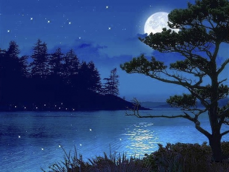 Top 13 bài văn tả một đêm trăng đẹp hay nhất - Toplist.vn