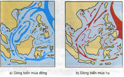 Hình 24.3. Lược đồ dòng biển theo mùa trên Biển Đông