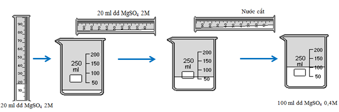 Quá trình pha loãng dung dịch MgSO4 2M